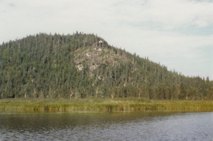 03.jpg - 03 - Une tour d'observation que nous avons aménagé aux fourches des rivières Métabetchouan et Métascouac.